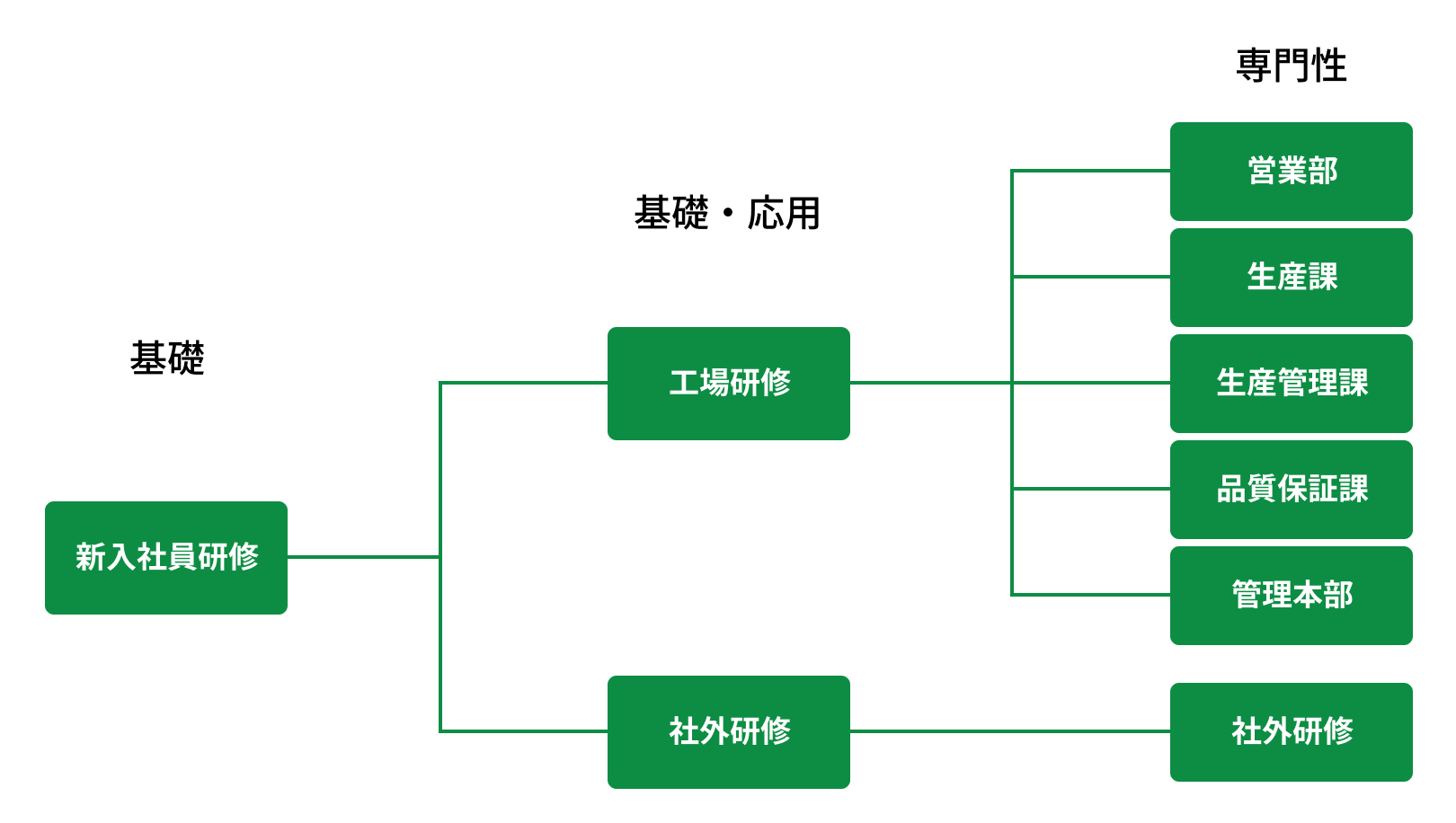 新入社員・入社1年目～3年目の研修フロー